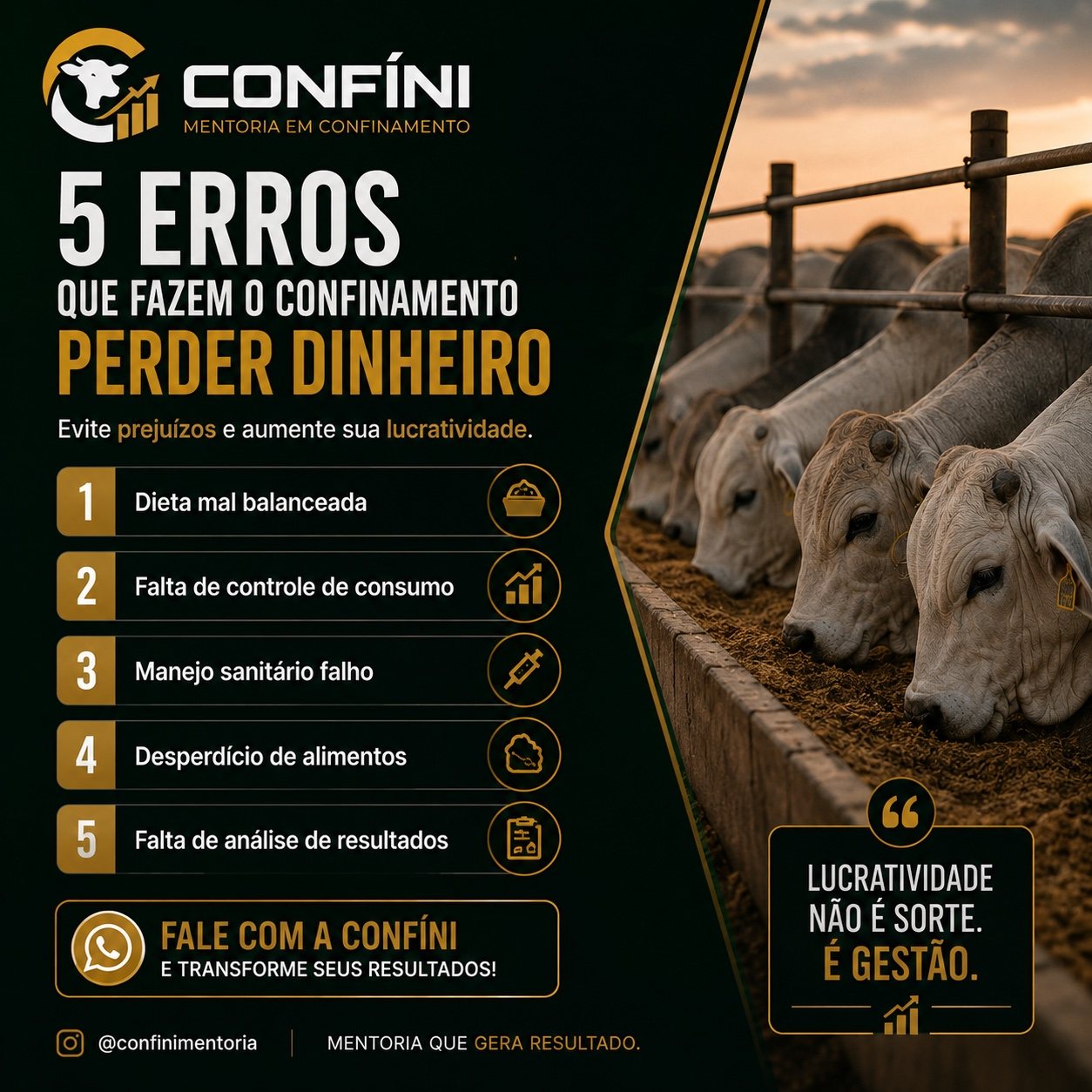 Erros que fazem o confinamento perder dinheiro