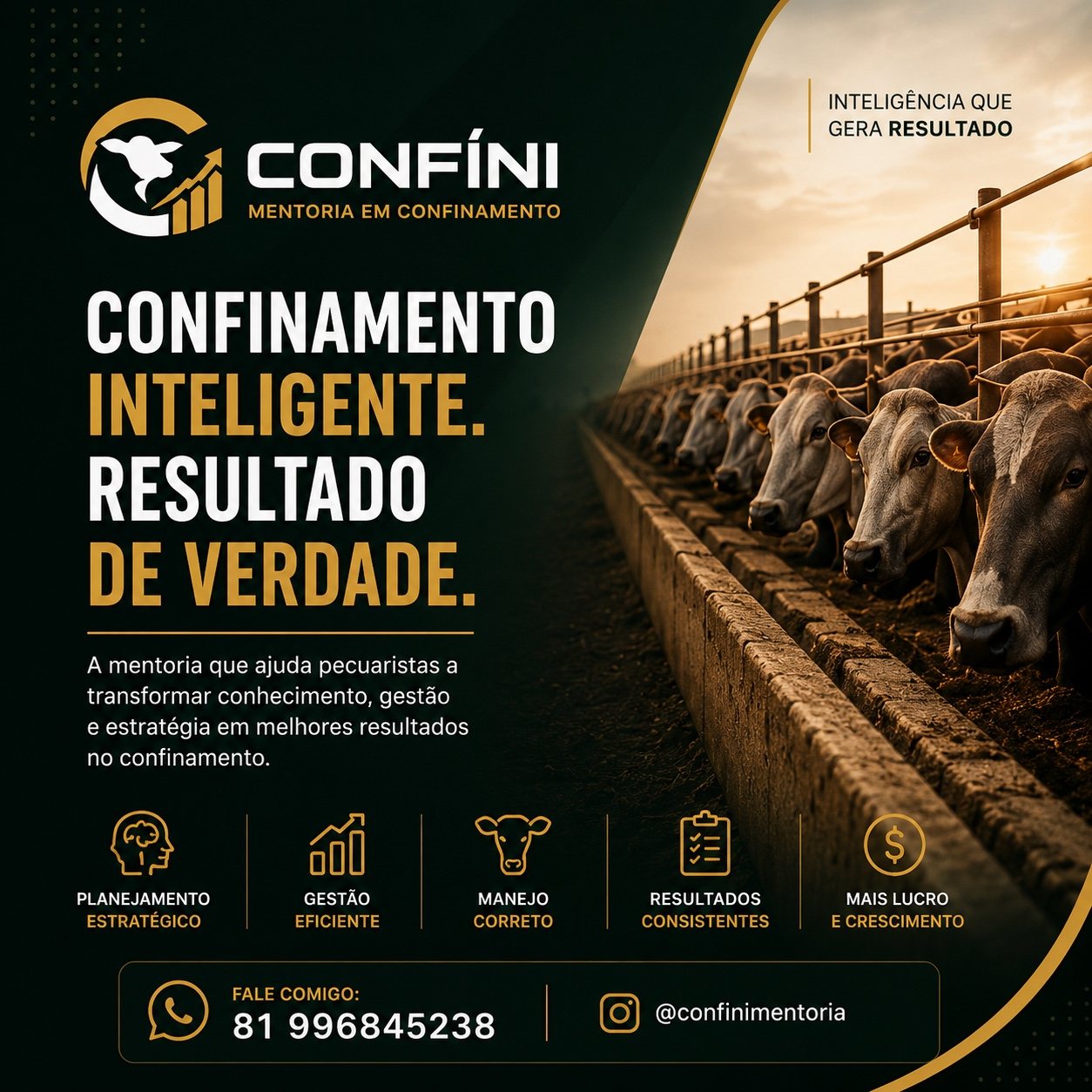 Confinamento inteligente